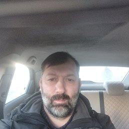 ������, 49 ���, ������������