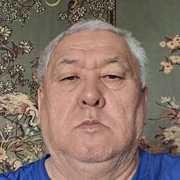 ����, ������, 66 ���