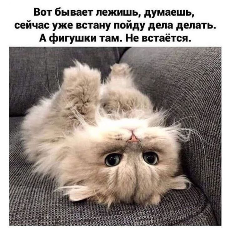 ��� ���� - 21 ������� 2026 � 18:15