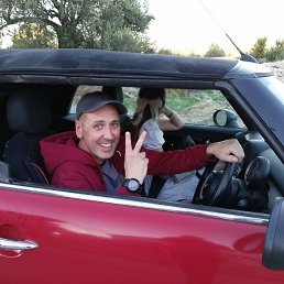 ���� �����, ������������, 43 ���� - ��������� 4 ������ 2026