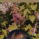 ���� ����, �����, 55 ��� - ��������� 30 ������ 2023 � ������ ���� ����������