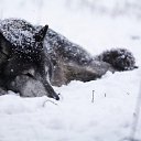 ���� ����, ������ - ��������� 3 ������ 2026 � ������ ���� ����������