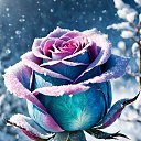 ���� ��������, ������, 23 ���� - ��������� 19 ��� 2026 � ������ ���� �������� �������