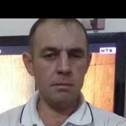 ������, ��������, 41 ���