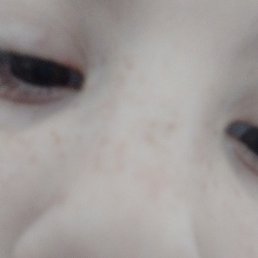 ����, ������, 33 ����