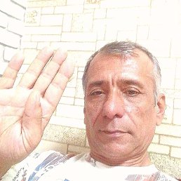 , 51 , 