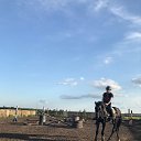 ���� �������, �����������, 42 ���� - ��������� 21 ������� 2026