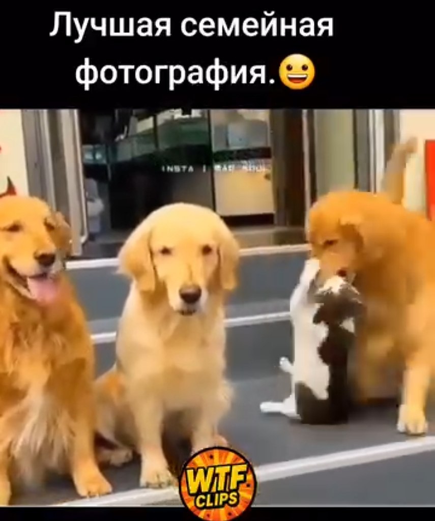 -  !  ?   ? ? ! - ! ! -  ,  ...