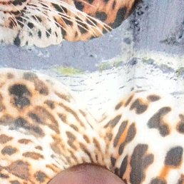 ������, 42 ����, ������