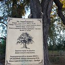 ���� �����, ��������, 56 ��� - ��������� 25 ������� 2026 � ������ ���� ����������