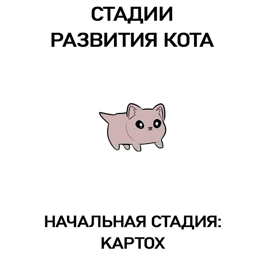 ���� - 8 ���� 2025 � 14:20