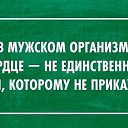 ���� ������ �������, ������, 64 ���� - ��������� 19 ������� 2026 � ������ ������ ��������