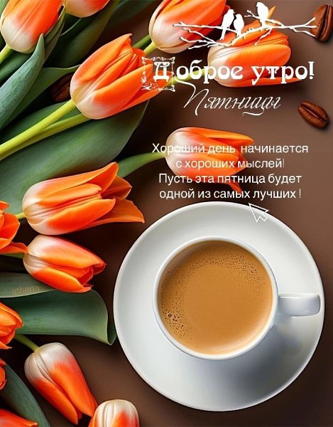 ����������� � ���������, �������� �� ������ ����. - 9 ������� 2024 � 00:22 - 2
