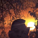 ���� �����, ������������, 36 ��� - ��������� 4 ��� 2025 � ������ ���� ����������