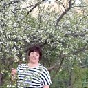 ���� ������, ��������, 68 ��� - ��������� 31 ������� 2023 � ������ ���� ����������