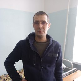 ���� ������, ������, 43 ���� - ��������� 14 ������� 2026