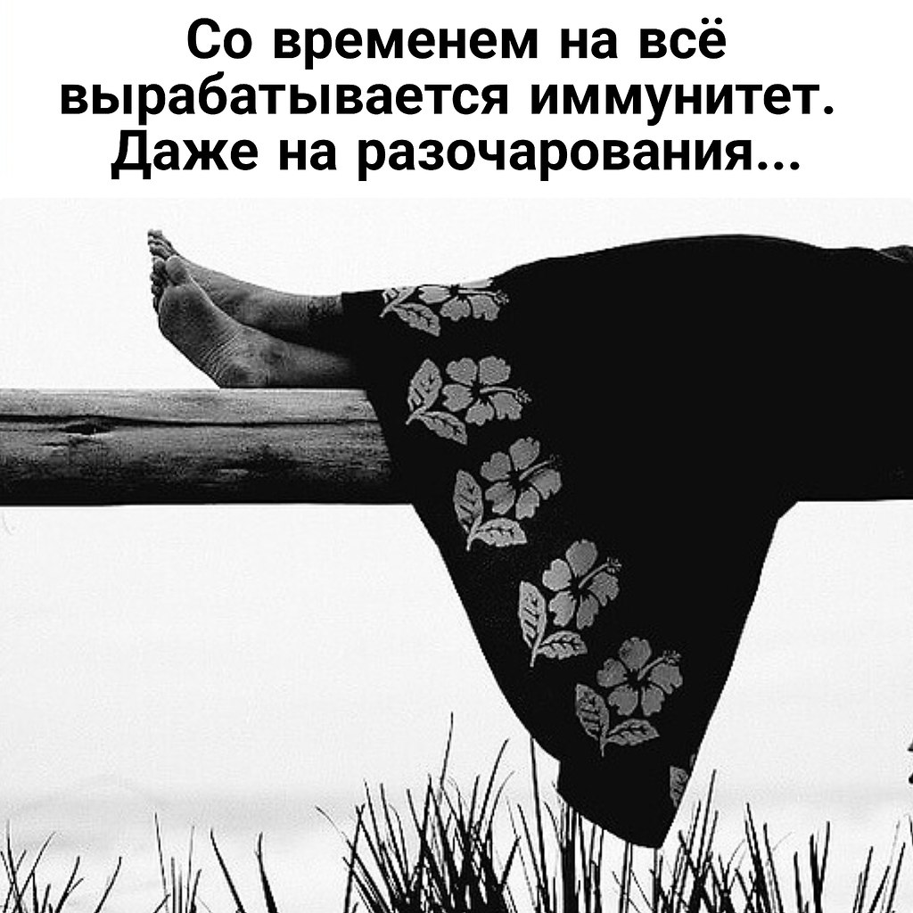 �������� ������� - 8 ������� 2026 � 21:51