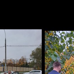 ���� ����, ������, 52 ���� - ��������� 22 ������� 2023