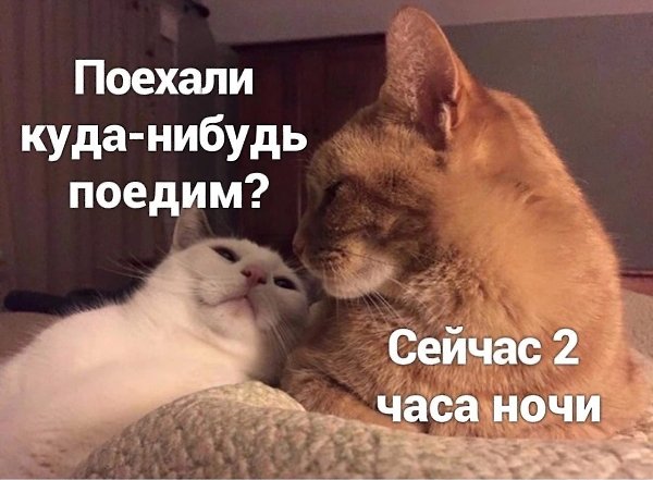 ��� ���� � ����� �� �� - 13 ������� 2025 � 02:33