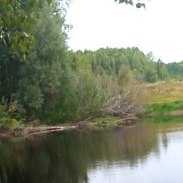 �������, �����, 59 ���