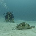 ���� �������, �����-���������, 40 ��� - ��������� 15 ������� 2025 � ������ ���� ����������