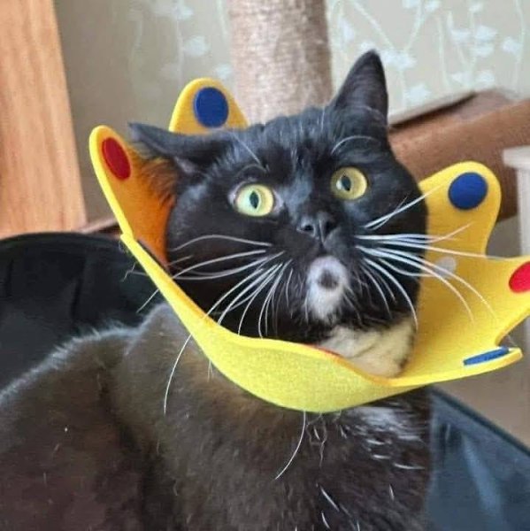 � ���� ���� �������??? - 3