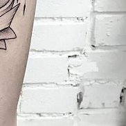 , 35 , -