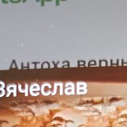 ��������, 31 ���, ������