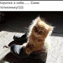 ���� ����, ������, 53 ���� - ��������� 20 ������ 2026 � ������ ������ ��������