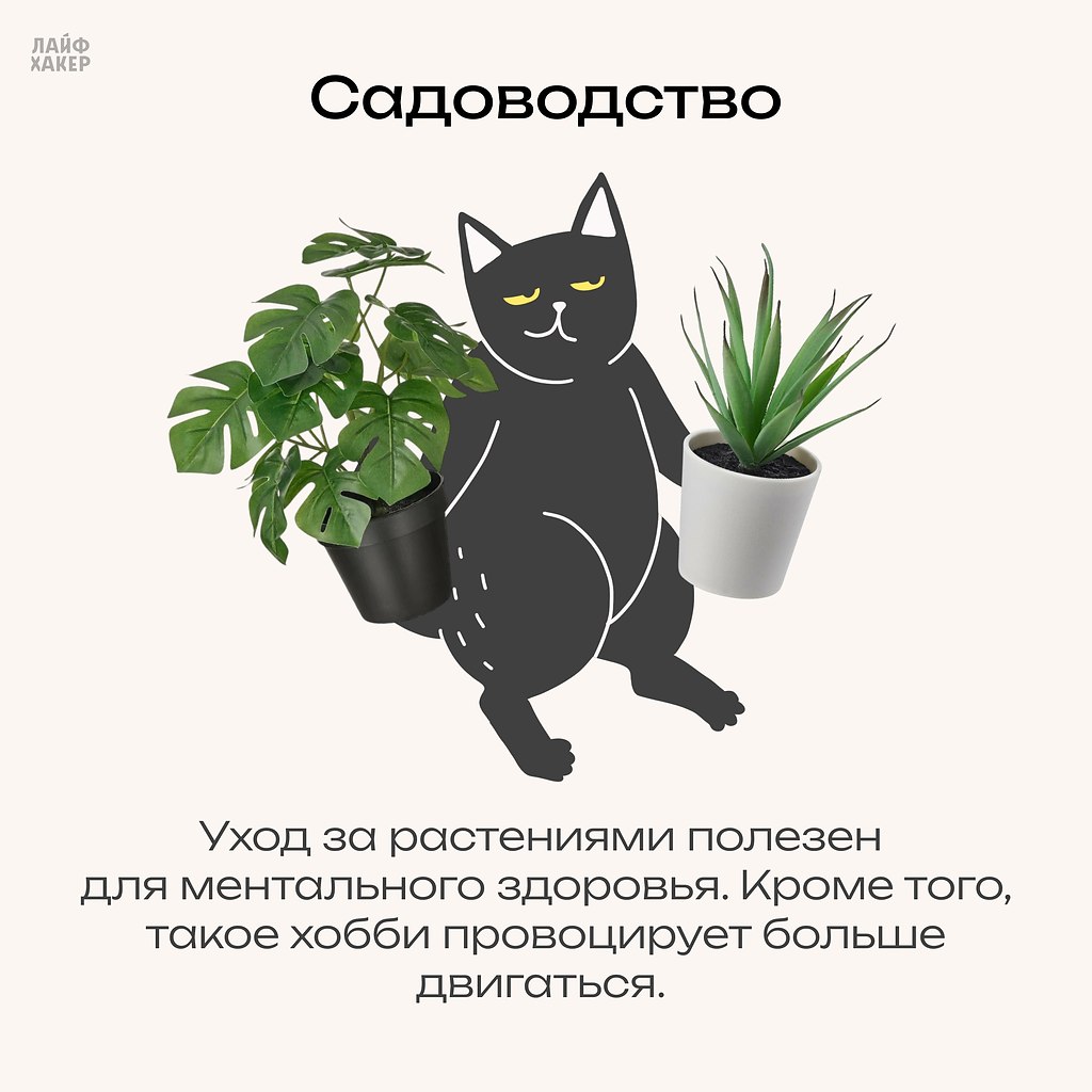 ����� ����� �����, �� �� ������, � ���� ������? �������� ��� ��������� ���������. ��� ������ ... - 5