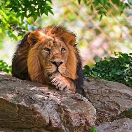 ����, �������, 56 ���