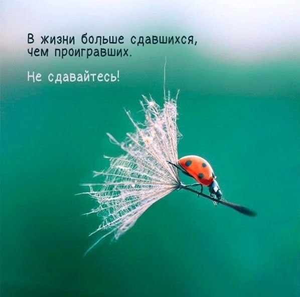   - 12  2024  18:34