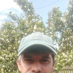 , 43, 