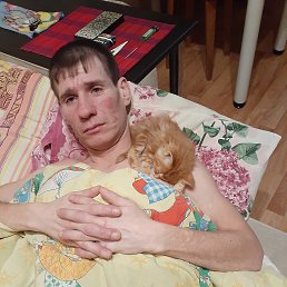 ������, 37 ���, ����