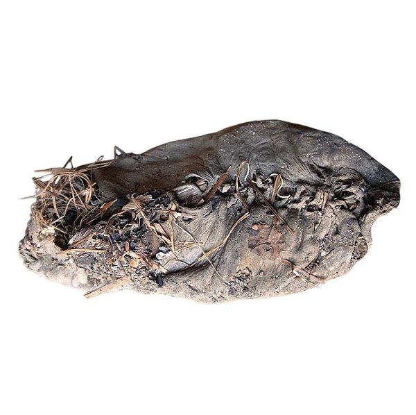 ��������� ����� ��������� ����� � ������ �����, ������� ������� ����� 5 ����� ���. � ������ ����� ... - 4