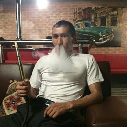 �����, 41 ���, ���