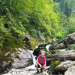 �����, 37 ���, �������