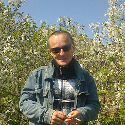  , 41, 