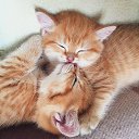���� ������, ���, 48 ��� - ��������� 26 ������ 2025 � ������ ������ ��������