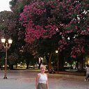 ���� Almira, �����-���������, 61 ��� - ��������� 25 ������� 2026