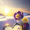 ���� Luchik, ����������� - ��������� 16 ������� 2024 � ������ ������ ��������