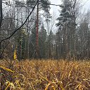 ���� ����, �������, 48 ��� - ��������� 29 ������� 2025 � ������ �������