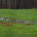 � ������ ���� ����! �� ������� ������ ��������