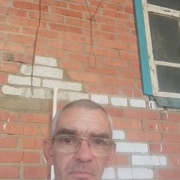  , 50 , 