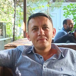 �����, 44 ����, ����������