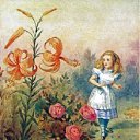 ���� ������ Teto (Tigerlyly Lily), �����, 31 ��� - ��������� 26 ����� 2026 � ������ ������ ��������