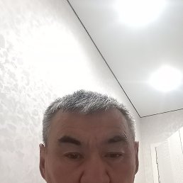 , 61, 