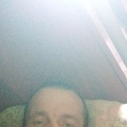 , 42, 