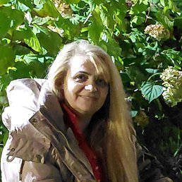 ���� ����, ������ ��������, 50 ��� - ��������� 14 ������ 2026