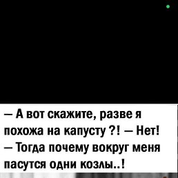 ���� ����, ����, 53 ���� - ��������� 11 ������ 2026